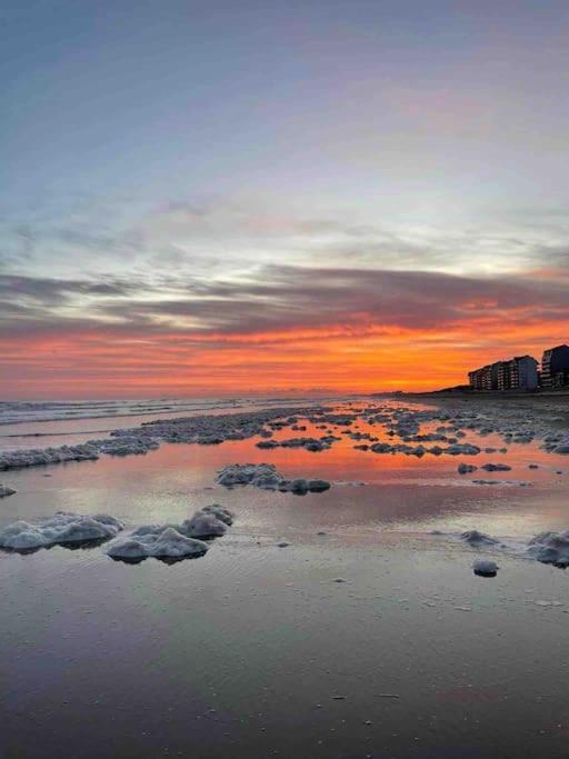Face A La Mer, Appartement Rdc Bray Dunes Extérieur photo